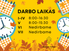 Darbo laikas RUDUO